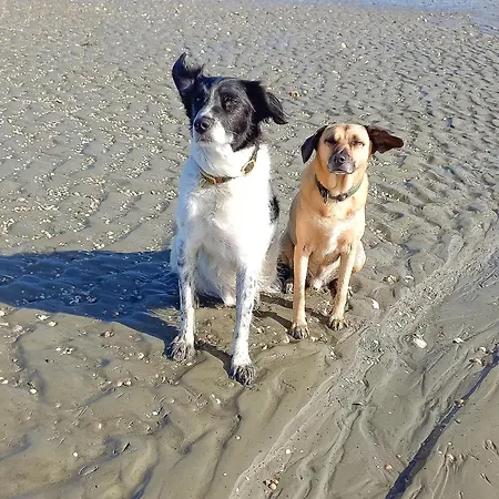 Land & 9 Cuxhaven